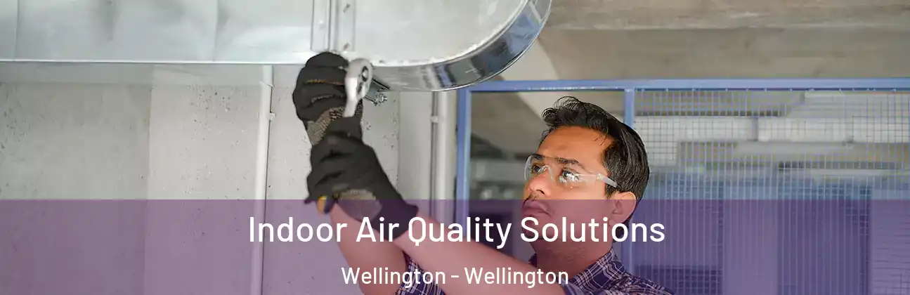  Indoor Air Quality Solutions Wellington - Wellington